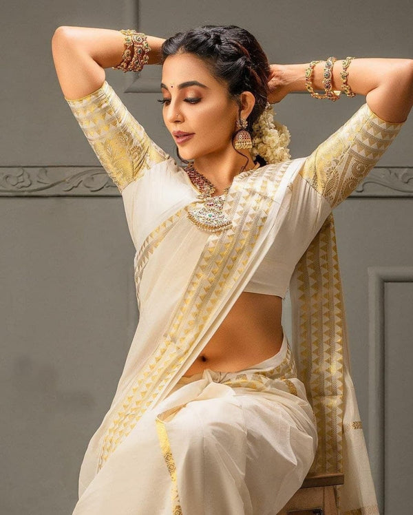Malayalam actress and model Parvathy Nair latest saree - Image 2
