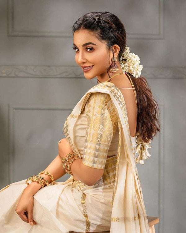 Malayalam actress and model Parvathy Nair latest saree - Image 4